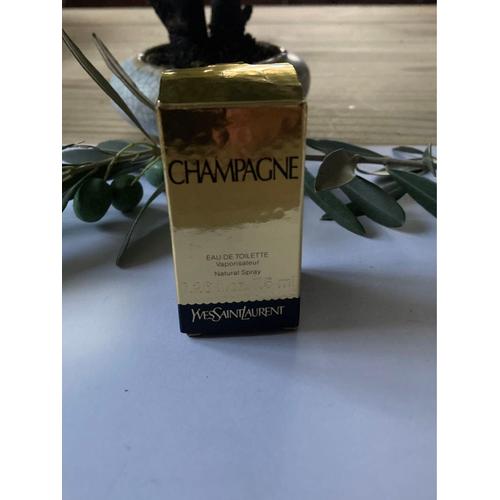 Prix miniature champagne discount yves saint laurent